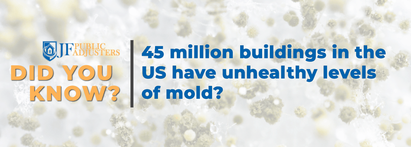 What Is White Mold - Statistic Image